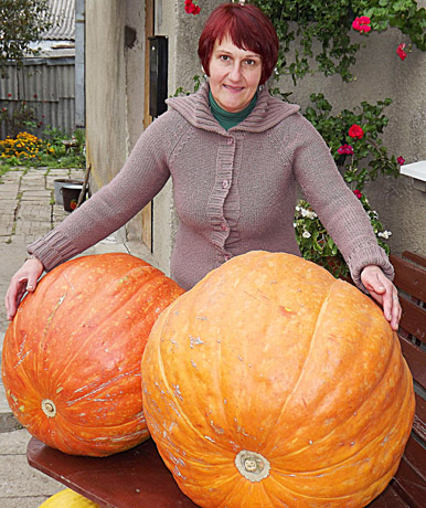 Žagarėje užderėjo didžiulis moliūgas