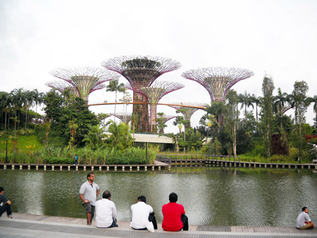 Singapūras: moderni keturių kultūrų sala