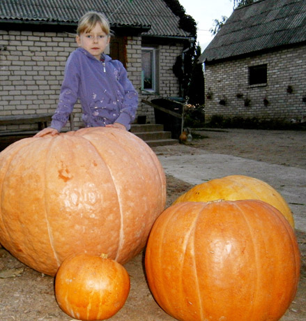 Milžinas svėrė per 100 kilogramų