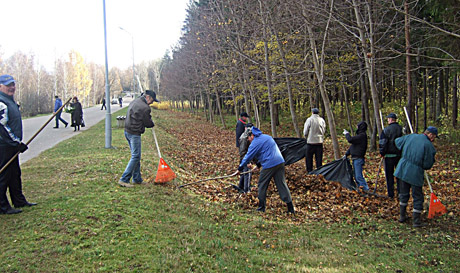 Mirusiųjų atminimo dienai ruošiamasi iš anksto