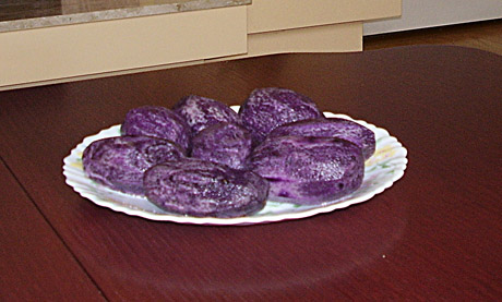 Šiauliečio darže dera violetinės bulvės