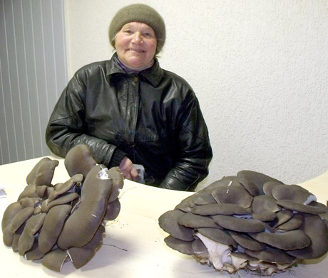 Prie na­mų – ver­tin­gi gry­bai