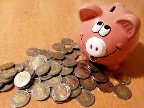 Ką daryti su taupyklės lobiais?