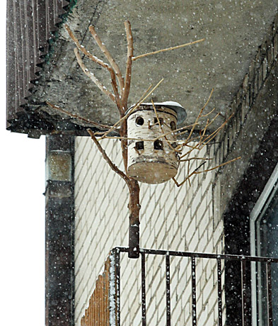 Paukščius reikia lesinti atsakingai