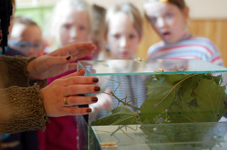 Že­mai­tis at­vy­ko kar­tu su na­riuo­ta­ko­jais