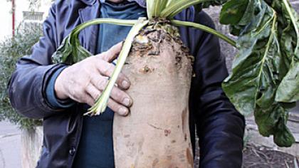 GĖ­RY­BIŲ KON­KUR­SAS