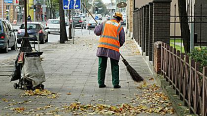 Lapai krinta, lapai lieka?