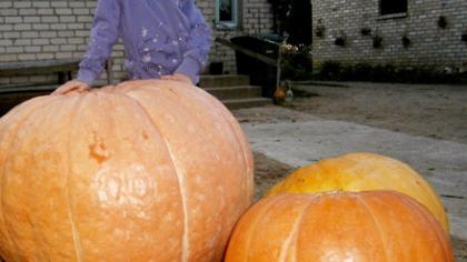 Milžinas svėrė per 100 kilogramų