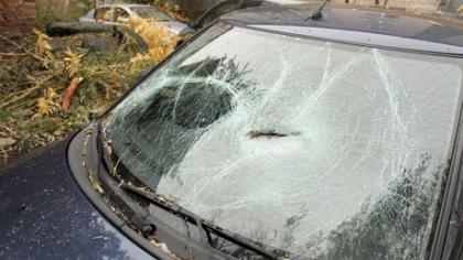 Apgadinti stovintys automobiliai