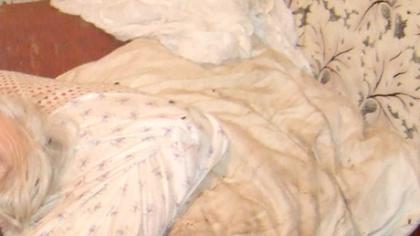 Mo­ky­to­jos išdalyta meilė kirto abejingumu