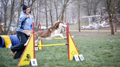 Renginį skyrė gyvūnų globai