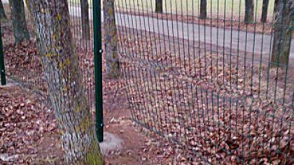 Stadioną nuo vandalų teks saugoti apsaugininkams