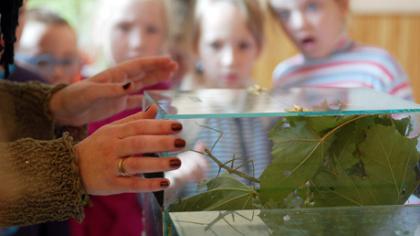 Že­mai­tis at­vy­ko kar­tu su na­riuo­ta­ko­jais